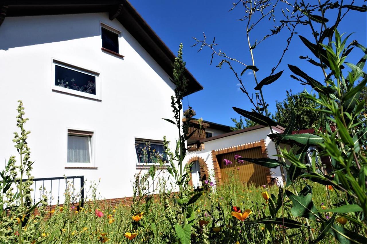 Ferienwohnung-M8 Im Schoenen Werratal Jestadt 外观 照片